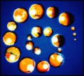 /album/playing-and-drawing/planets-1-jpg1/